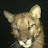 @eivindrew's avatar