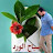 @waledragab2172