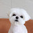 @꼬미엄마-g4m