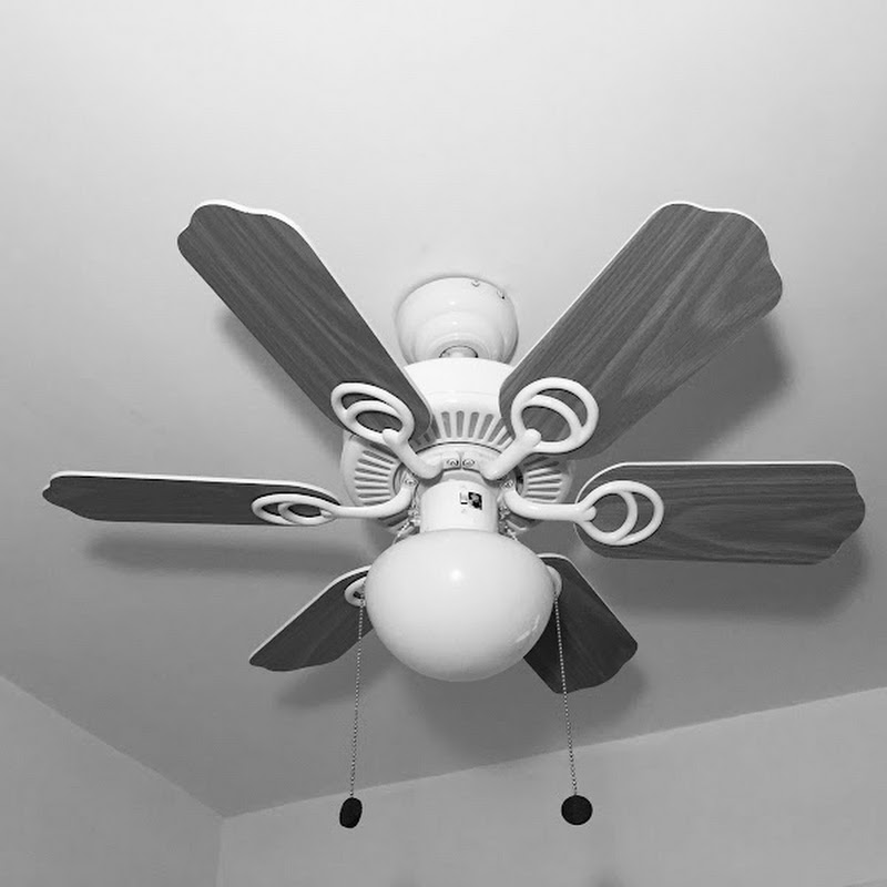 Kat TheFanEnthusiast