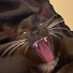 wdaZjMFFrnE-channel-avatar-TomFooleryLV