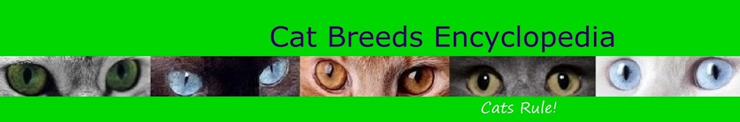 Cat Breeds Encyclopedia.com YouTube channel avatar