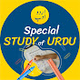 Special study of Urdu logo