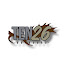 RWSBtQ6rXW4-channel-avatar-TEN26 Outdoors 