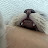 @뭉치의성장기록