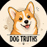 LtvN4WTlqB4-channel-avatar-Dog Truths