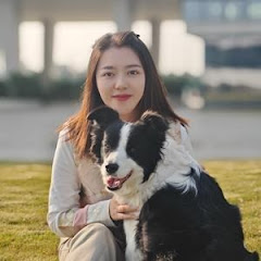 边牧RR-毛毛姨アイコン画像