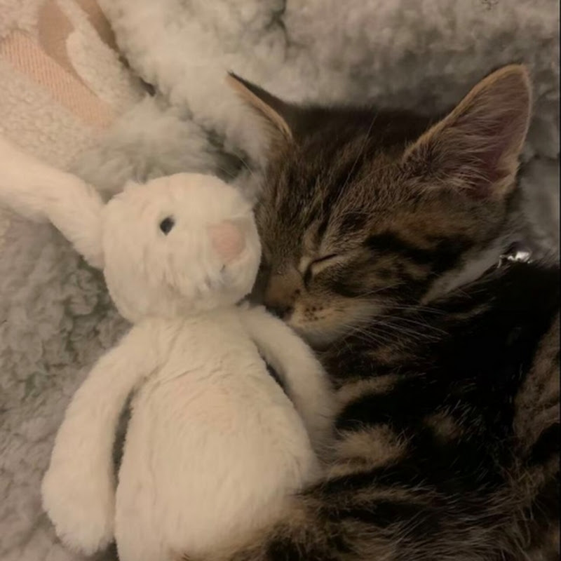 Tuana Vloggiess🫶🏻