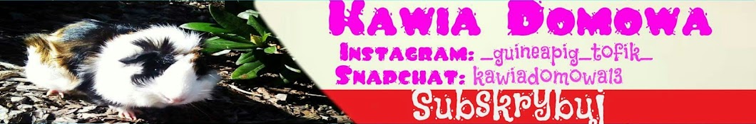 kawia domowa YouTube kanalı avatarı