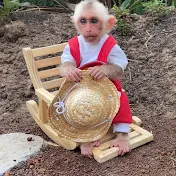 Monkey Lily-chan