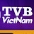 @TVB-Co-Thuy