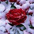 NOYViGYL2_A-channel-avatar-Golden Fantasy ASMR