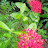 @Doaa-589