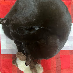あみ