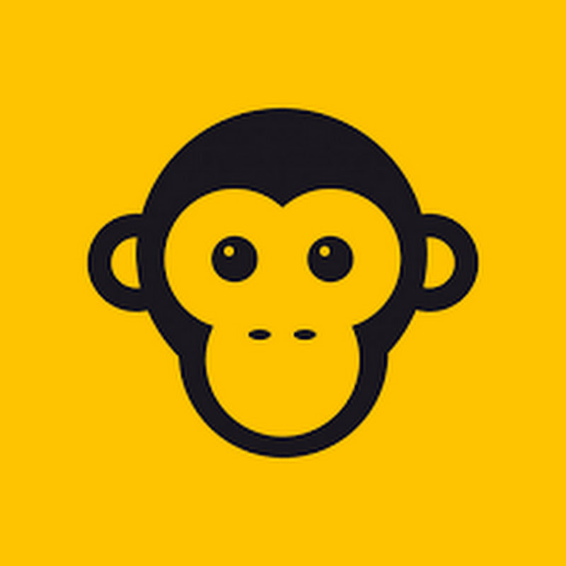 Cute Nature Monkey