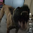 @DOGGMAN-f3o