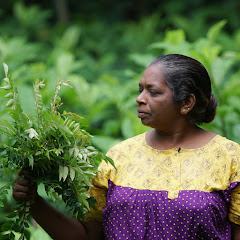 Kerala Food avatar
