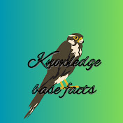 Knowledge base facts