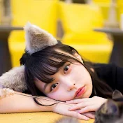 まいぱん