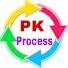 PrXwEDvCfYM-channel-avatar-PK Process