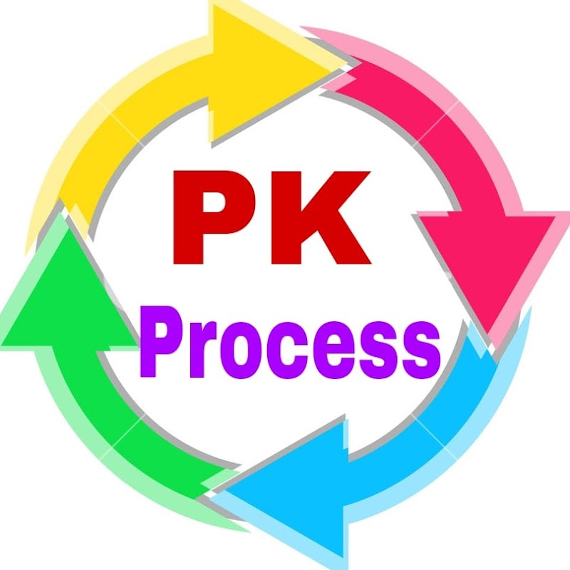 PK Process Logo