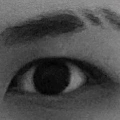 隼アイコン画像