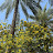 @حسين-ل1ذ8ض