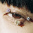 @uwfei's avatar