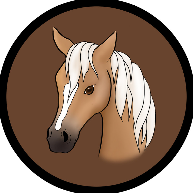 Let's play Horse Games
