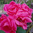 @ss-pl5bl