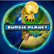 Budgie Planet
