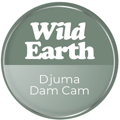 WildEarth Djuma Cam channel logo