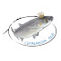Zrom-pp6qOc-channel-avatar-Cefalandia_sub
