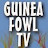 Guinea Fowl TV