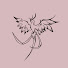 8s2Ao0ISFgY-channel-avatar-The Value of The Phoenix