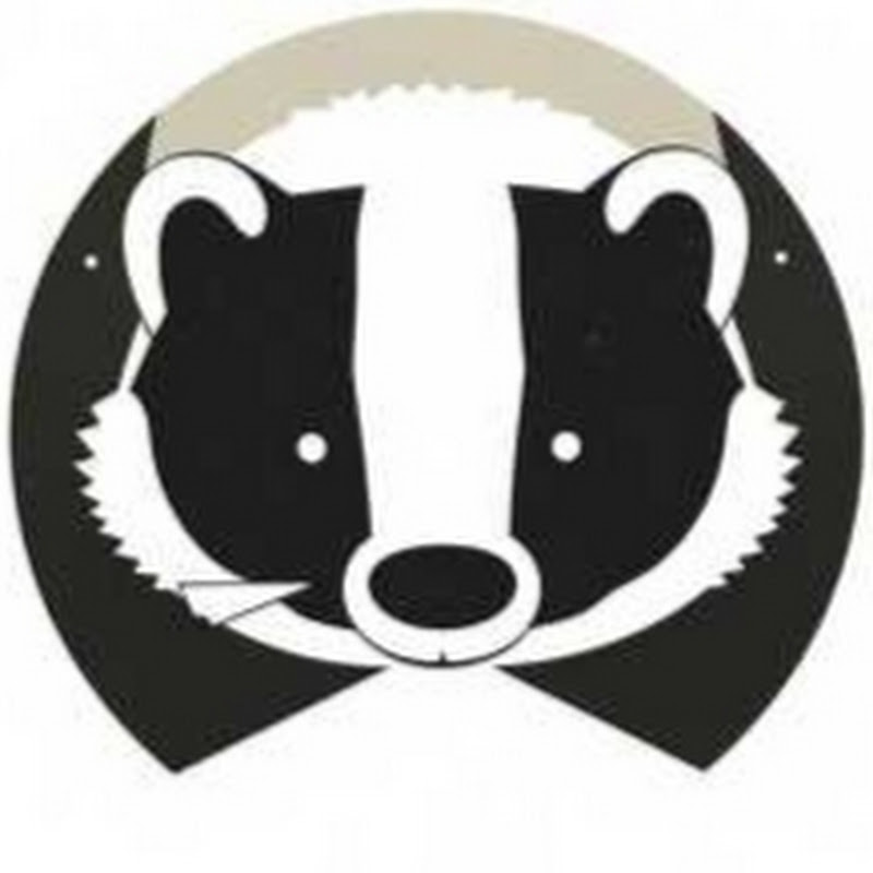 ATalkingBadger