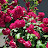 @1978_TV