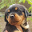 @Cali5556's avatar