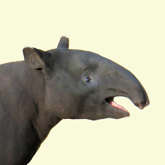 多摩動物公園を散歩する