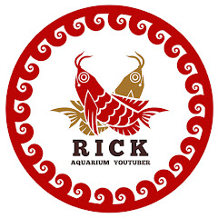 【BOWZ】リック　Rick arowana_aquarium