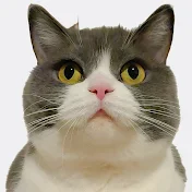 まるちゃんねる