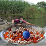 zN7X8xpf4Lk-channel-avatar-Village flower