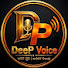 ZRjr0bEfNF0-channel-avatar-Deepvoice Media