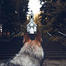 Автор