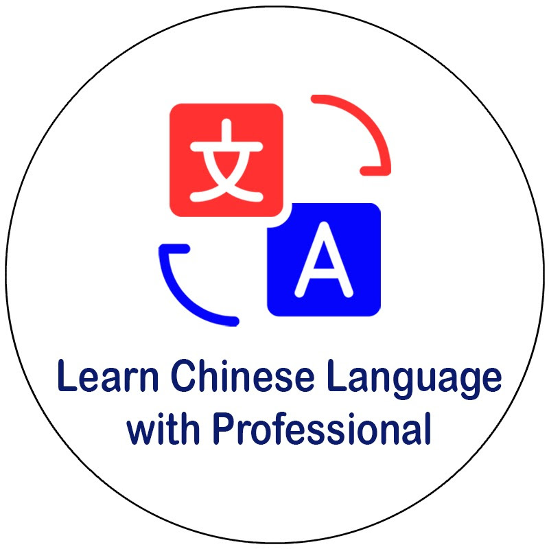 Learn Chinese Language with Professional