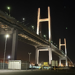 V4LT