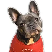 フィリックスとパパ