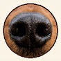 BOOP