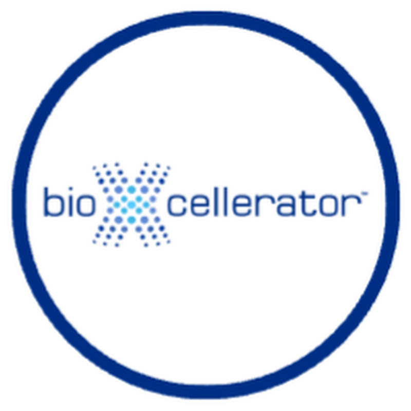 BioXcellerator Stem Cell Therapy