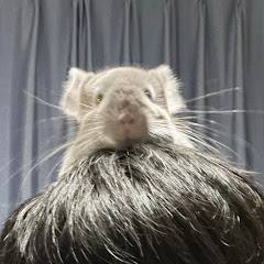 ペペロンチーノくん